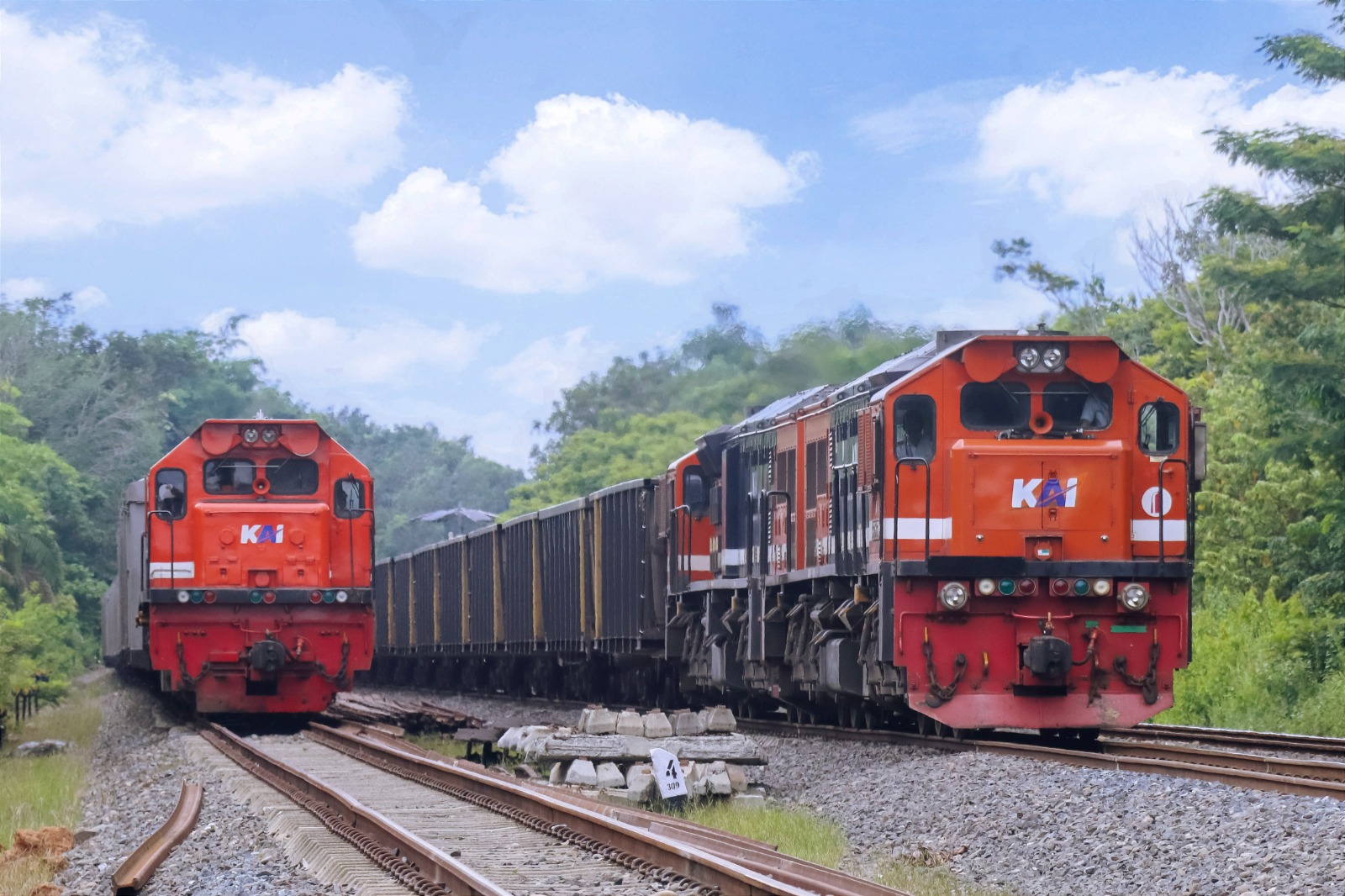 KAI Angkut 21,6 Juta Ton Barang hingga April 2025, Batu Bara Jadi Tulang Punggung Energi Nasional